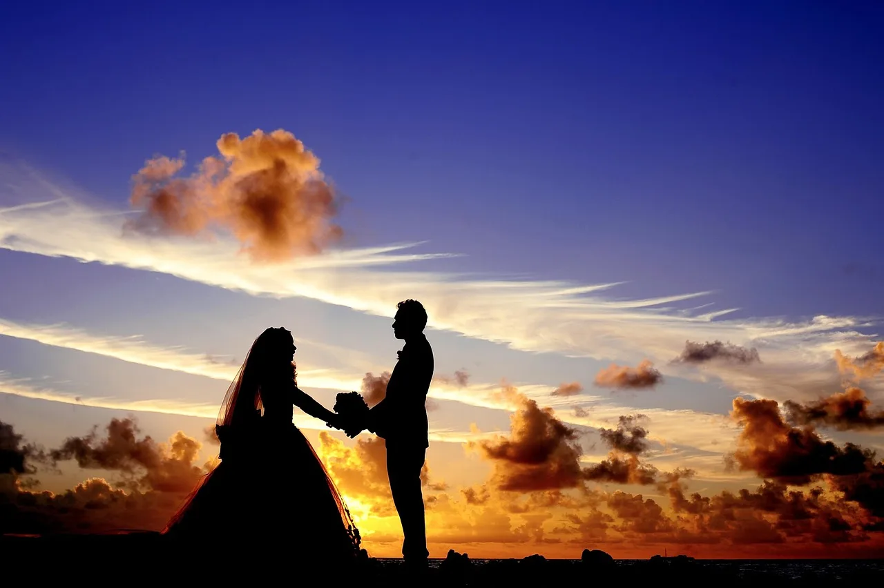 sunset, wedding, silhouettes, marriage, newlyweds, bride, groom, holding hands, couple, bridal, sky, clouds, dusk, romantic, love, romance, nature, man, woman, relationship. Wedding planning hiring: training assistants in 7 stages