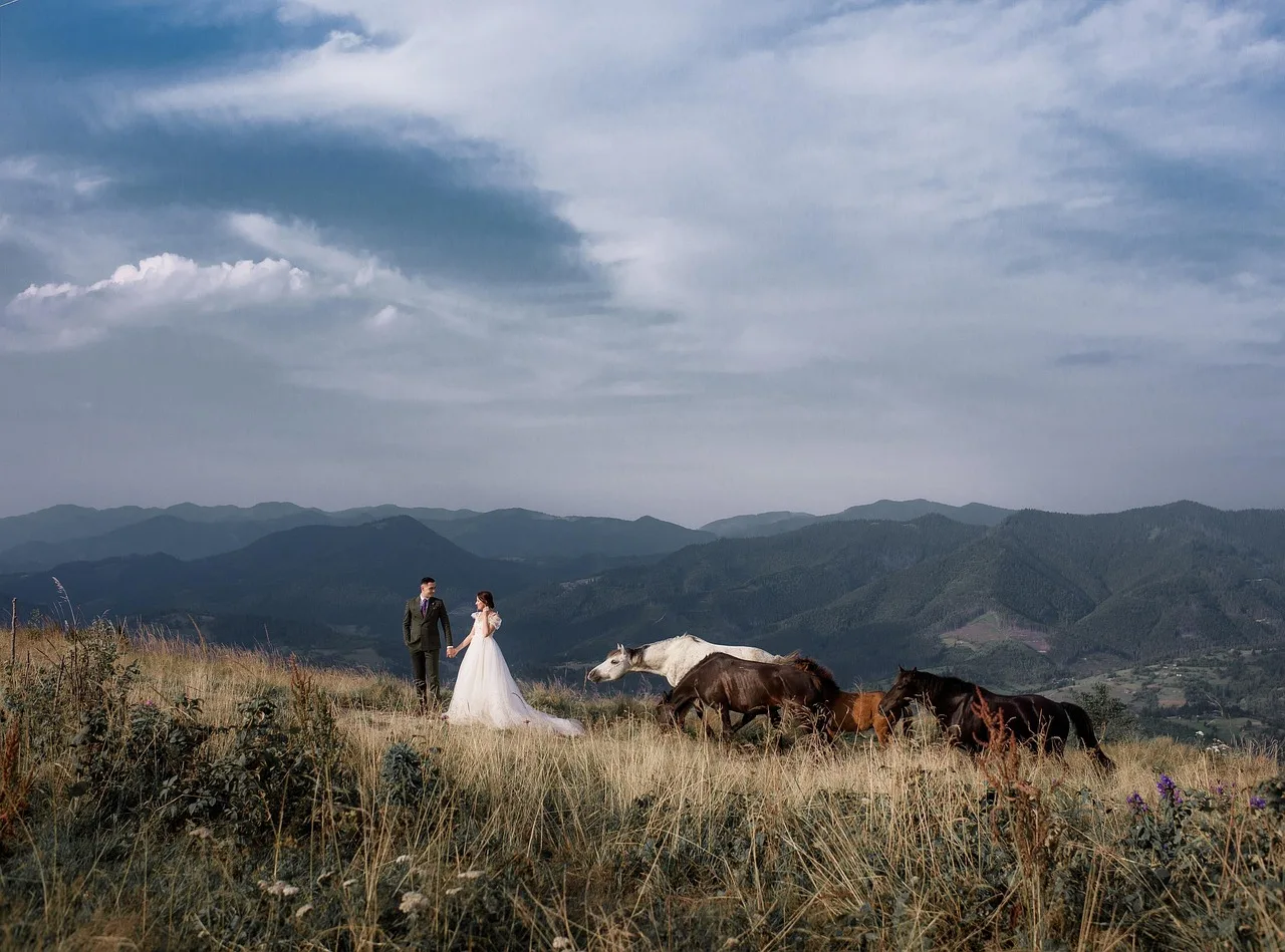 bride, groom, wedding, wedding photography, bridal gown, bridal dress, couple, pair, together, love, lovers, newlyweds, bridal, wedding dress, marriage, woman, fashion, dress, man, people, romantic, wife, husband, portrait, outdoors, mountains, nature, bride, wedding, wedding, wedding, wedding, wedding, wedding photography, wedding dress. Wedding planning operations: the parts worth your attention