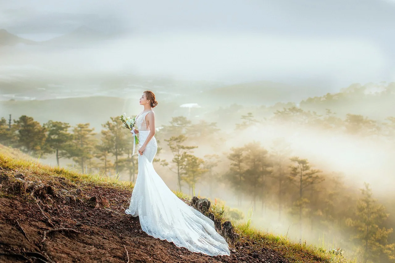 bride, wedding, wedding dress, forest, woods, haze, nature, dawn, bride, bride, bride, bride, wedding, wedding, wedding, wedding, wedding, wedding dress, wedding dress, wedding dress. Wedding planning quote template: what belongs in each section